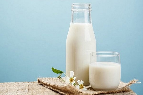 Sữa tươi không đường chứa nhiều dưỡng chất