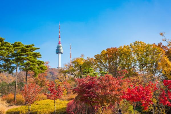 Tháp N Seoul ở núi Namsan